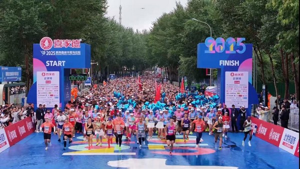 一城山水半, 城林