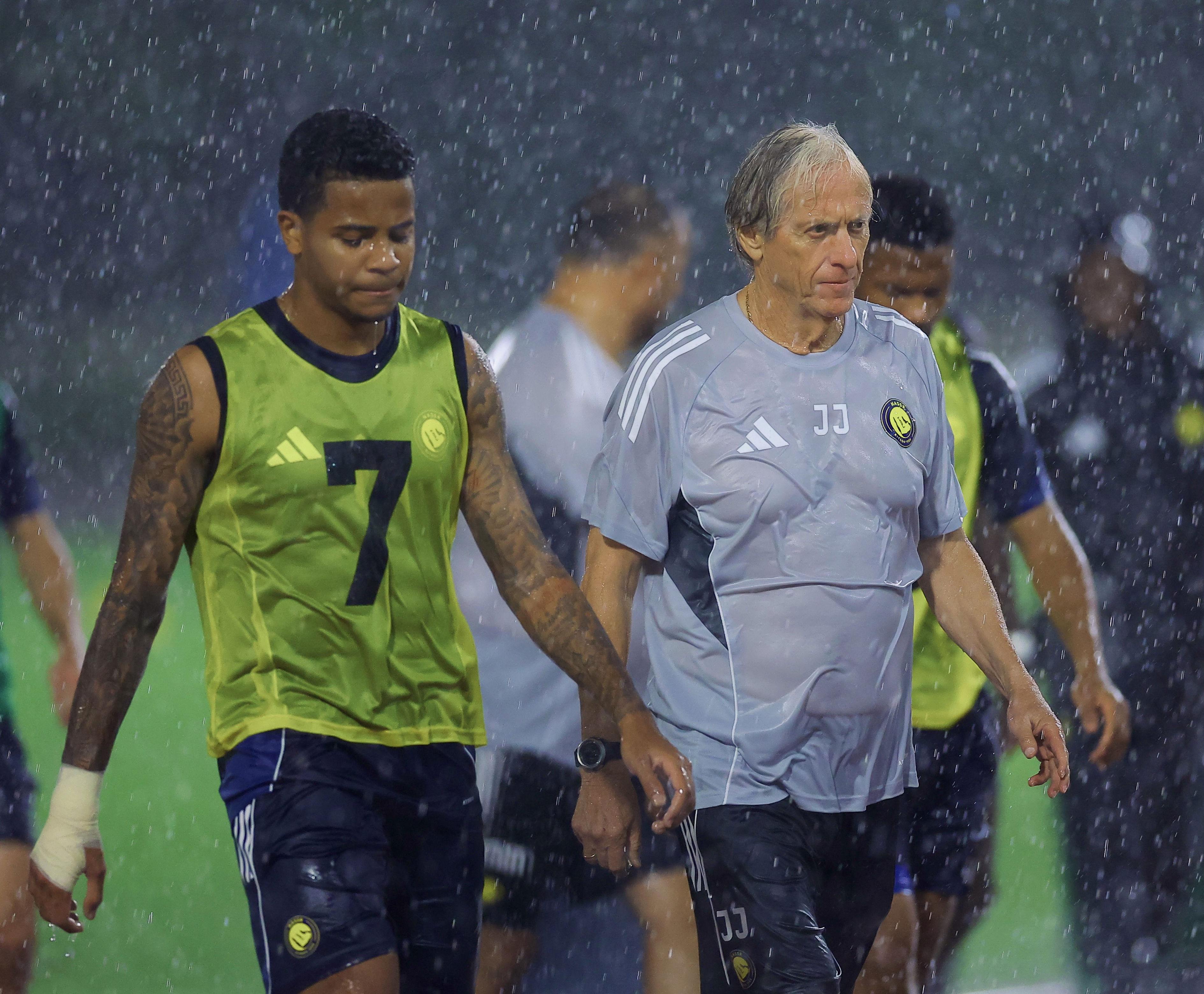 级杯, img 级杯, img