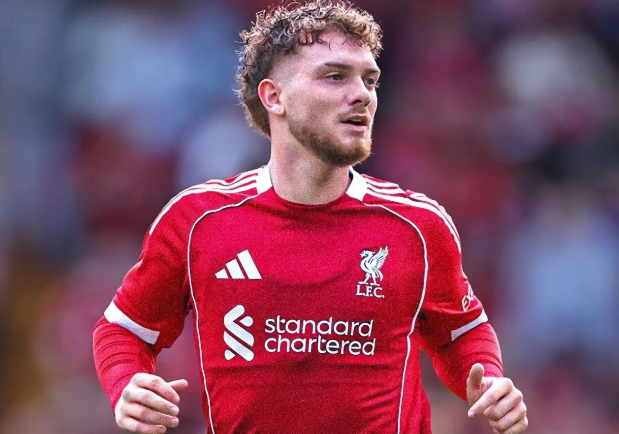 豪强争抢 豪强争抢