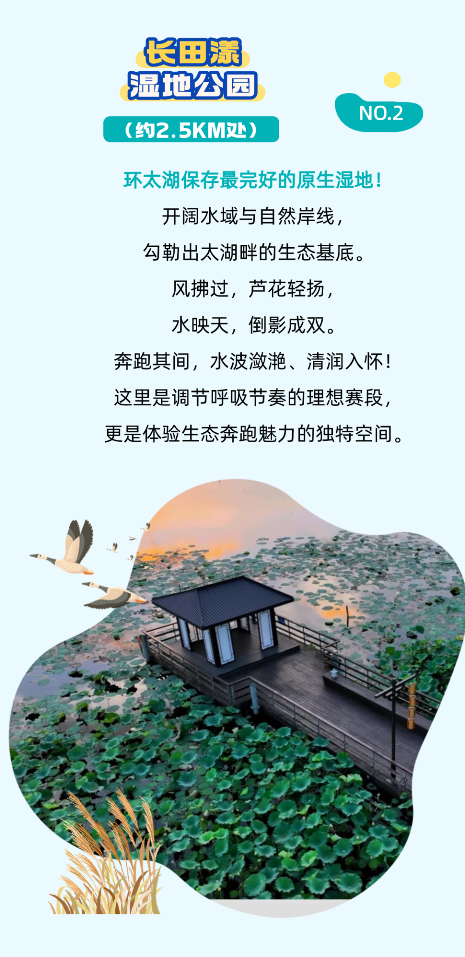 人文魅力的, 愈发强烈